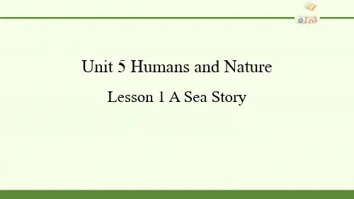高中英语北师大版(2019)必修第二册-Unit 5 Humans and Nature Lesson 1 A Sea Story