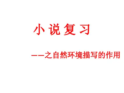环境描写