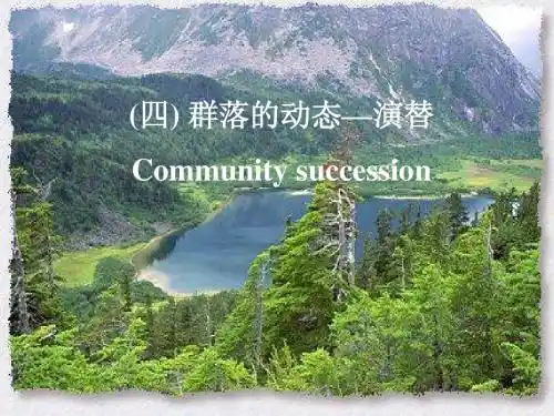 4 群落的演替
