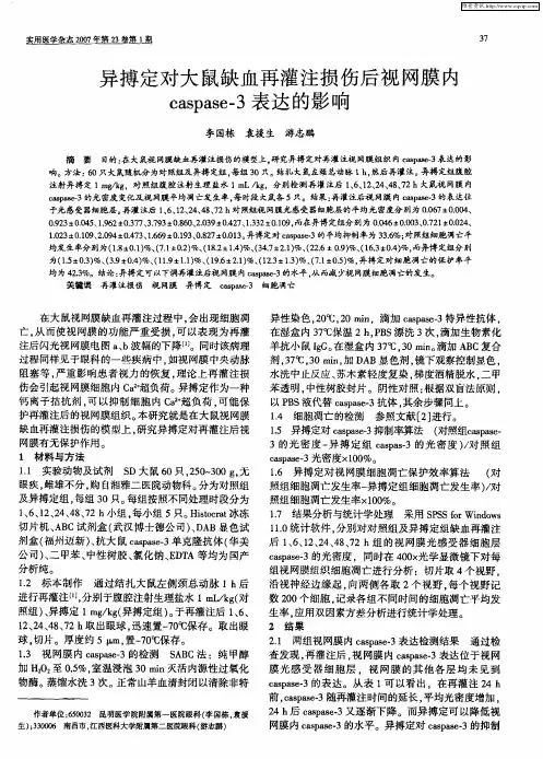 异搏定对大鼠缺血再灌注损伤后视网膜内caspase-3表达的影响
