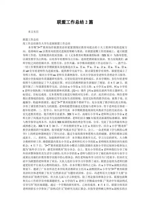 联盟工作总结2篇