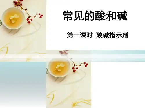 常见的酸和碱 说课PPT