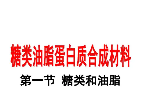 糖油蛋复习