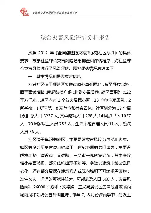 风险评估报告