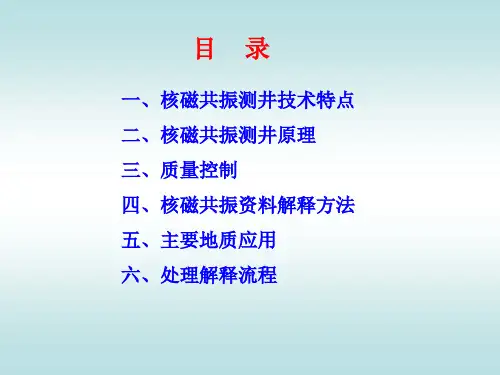 核磁共振解释技术培训-PPT课件