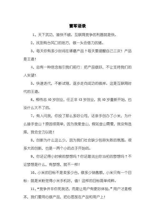 雷军语录