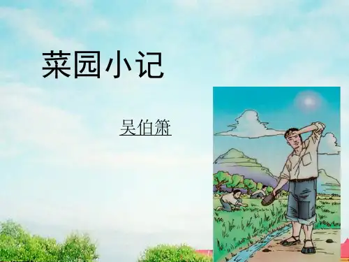 菜园小记