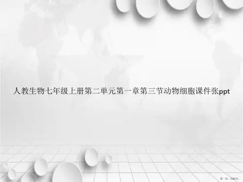 人教生物七年级上册第二单元第一章第三节动物细胞张ppt讲课文档