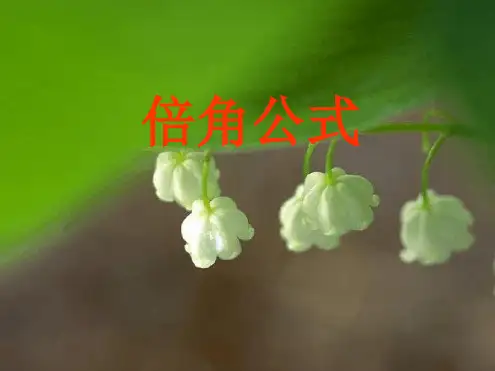 完整版倍角公式课件