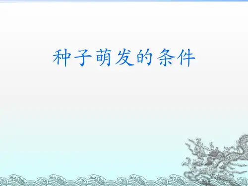 三年级下册科学课件《种子萌发的条件》1 北京课改版(共12页)PPT