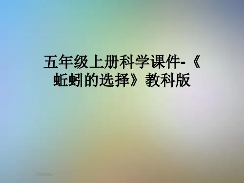 五年级上册科学课件-《蚯蚓的选择》教科版