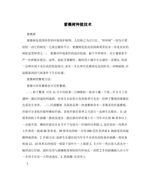 紫薇树种植技术