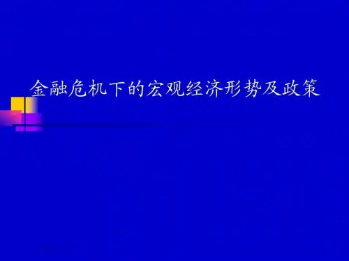金融危机下的宏观经济形势