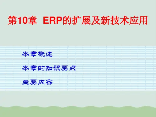 ERP的扩展及新技术应用PPT(共45页)