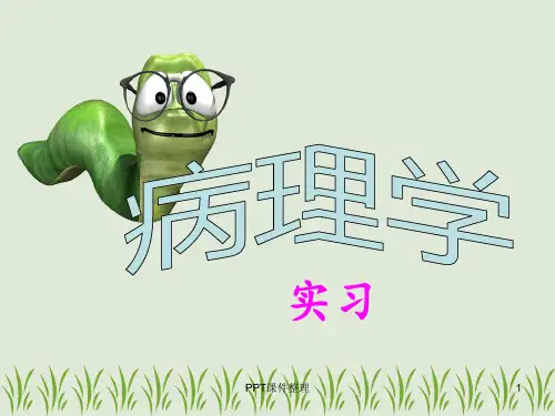 病理学实习一
