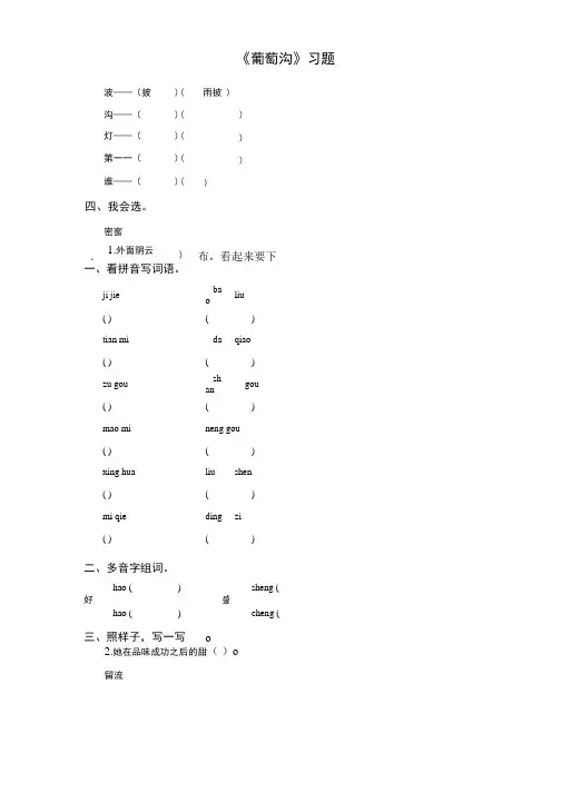 《葡萄沟》习题.doc