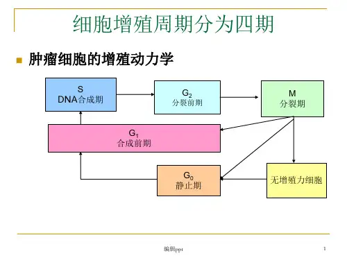 抗肿瘤药物分类及作用机制