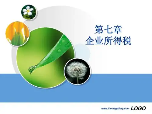 第七章企业所得税