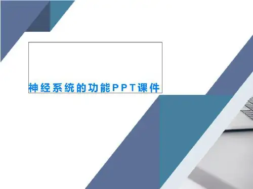神经系统的功能PPT课件