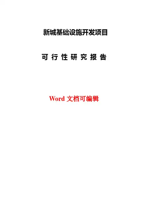 新城基础设施开发项目可行性研究报告