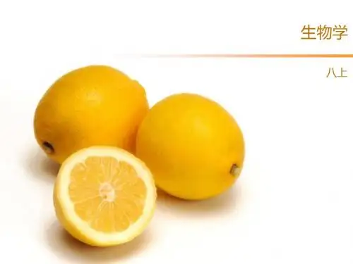 腔肠动物