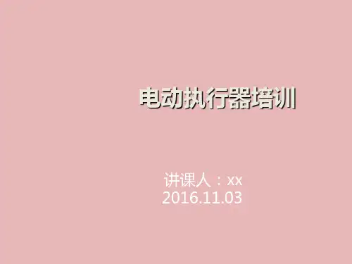 罗托克电动执行器培训课件