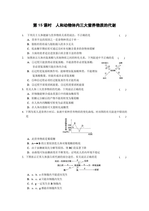 第15课时 人和动物体内三大营养物质的代谢