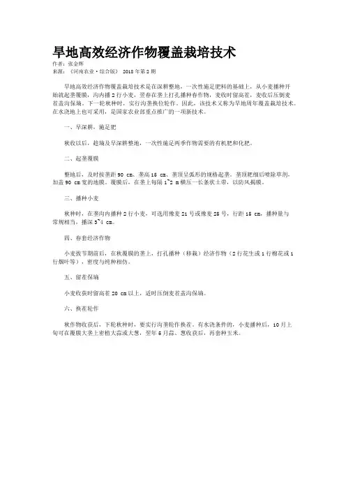 旱地高效经济作物覆盖栽培技术