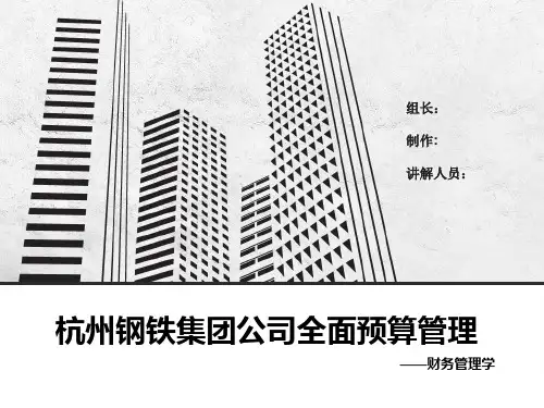 杭州钢铁集团公司全面预算管理