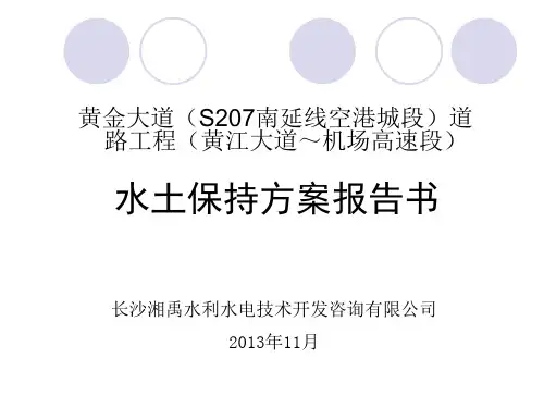 道路工程(黄江大道~机场高速段)审查会报告稿.pptx