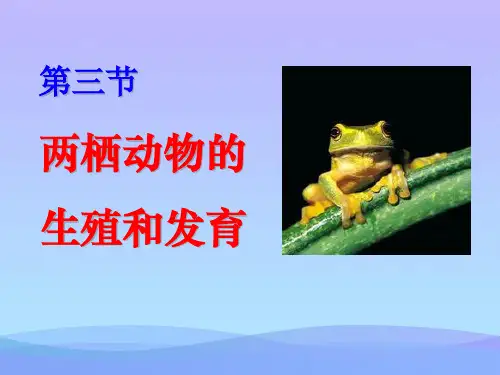 2021优选《两栖动物的生殖和发育》生物的生殖和发育PPT课件5