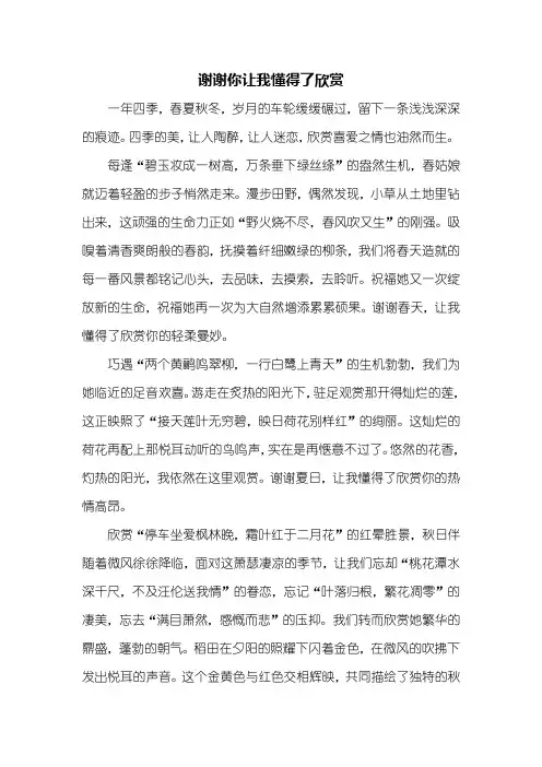 初二作文：谢谢你让我懂得了欣赏作文800字