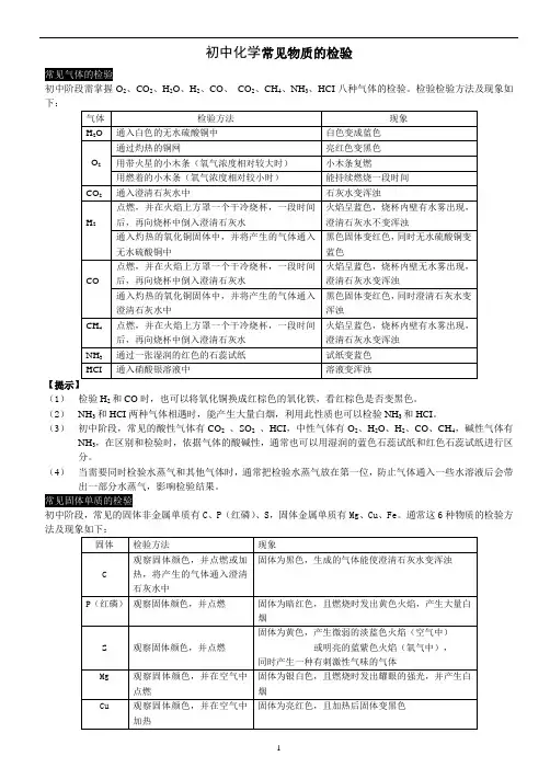 初中化学常见物质的检验