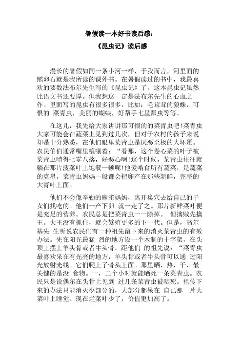 暑假读一本好书读后感