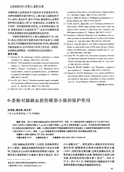 6-姜酚对脑缺血损伤模型小鼠的保护作用