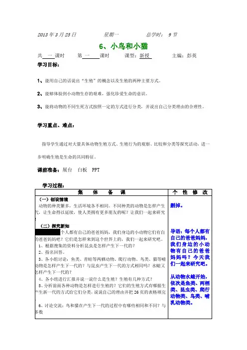 小鸟和小猫教案