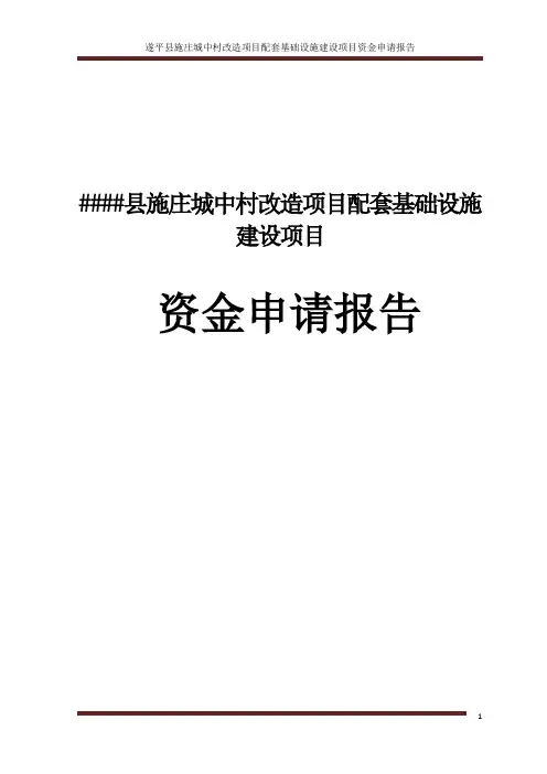 城中村改造项目配套基础设施建设项目资金申请报告