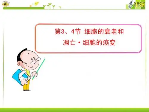 第3、4节 细胞的衰老和凋亡·细胞的癌变