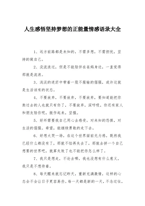 人生感悟坚持梦想的正能量情感语录大全