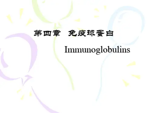 Ig-免疫球蛋白