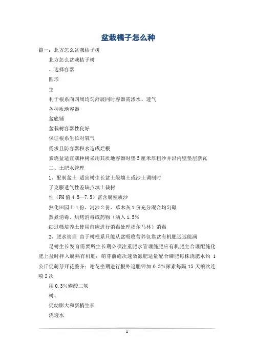 盆栽橘子怎么种