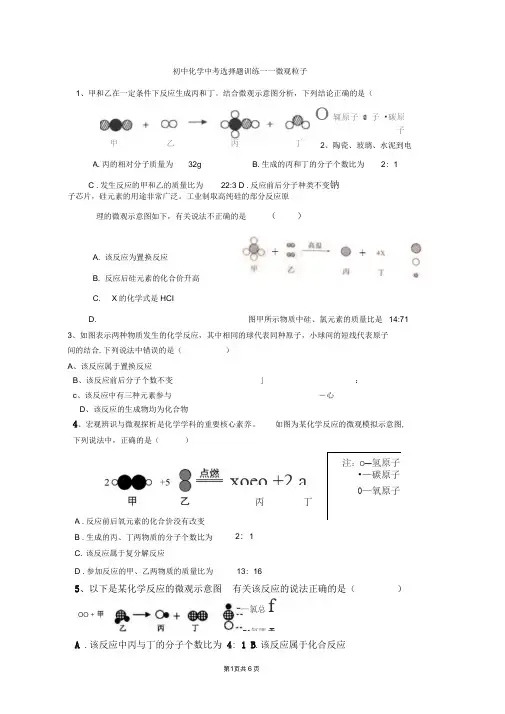初中化学中考选择题训练——微观粒子
