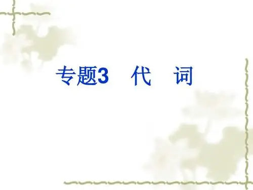 2011年中考英语专题复习课件-代词