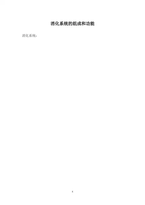 消化系统的组成和功能