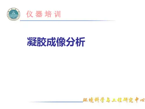 DNA、RNA、蛋白质等凝胶图像分析