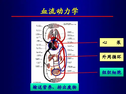 血流动力学与氧代谢监测陆国平