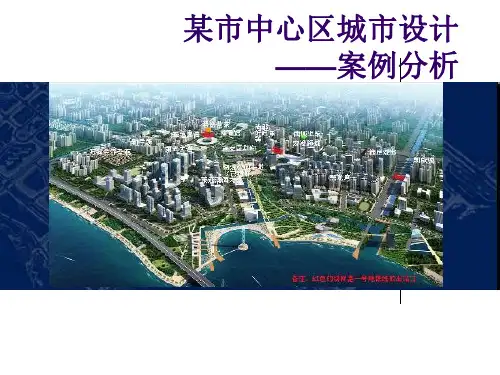 (最新)某市中心区空间详细规划城市设计讲义课件