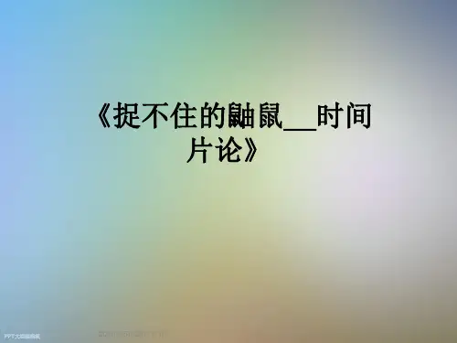 《捉不住的鼬鼠__时间片论》