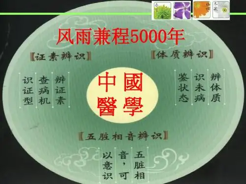 中医基础理论之阴阳五行脏腑