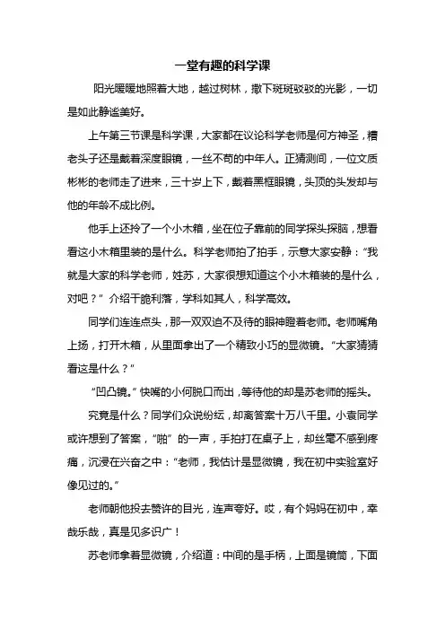 六年级作文：一堂有趣的科学课作文800字